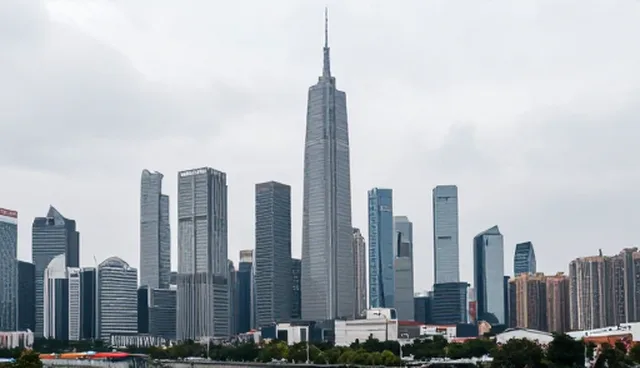 需求反馈中的维护技巧与检查要点解析
